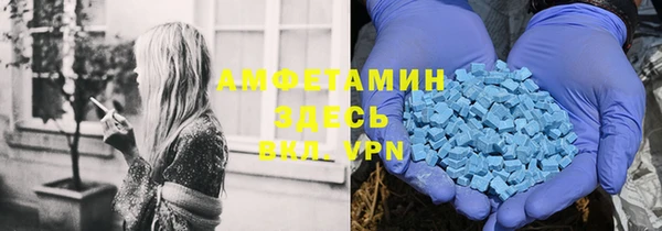 прущие грибы Осинники