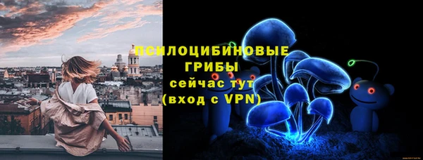 apvp Осташков