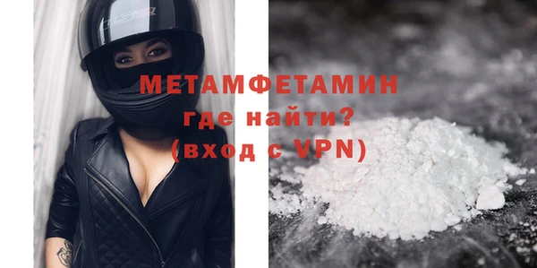 прущие грибы Осинники