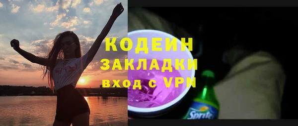 прущие грибы Осинники