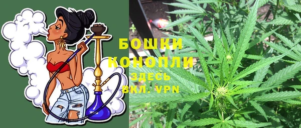 apvp Осташков