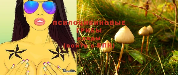 прущие грибы Осинники