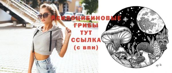 apvp Осташков