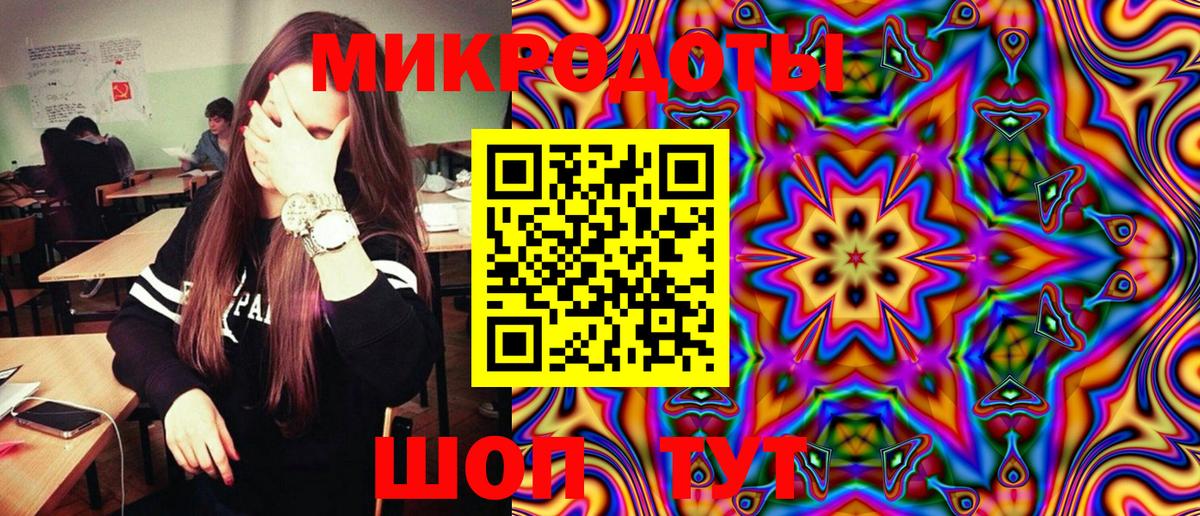 Псилоцибиновые грибы Psilocybe  Вход с VPN  Большой Камень  Псилоцибиновые грибы прущие грибы 
