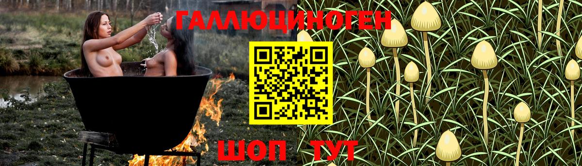 Галлюциногенные грибы Magic Shrooms  где можно купить наркотик  Большой Камень  Галлюциногенные грибы GOLDEN TEACHER 