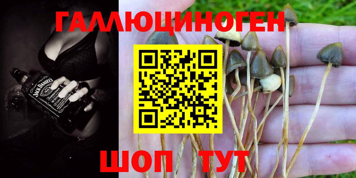 Галлюциногенные грибы ЛСД Большой Камень