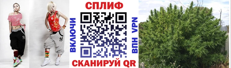 Конопля AK-47  omg ONION  Большой Камень 